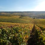 champagne-g1aec0fa2c_1920