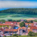 vines-g465c087cb_1920